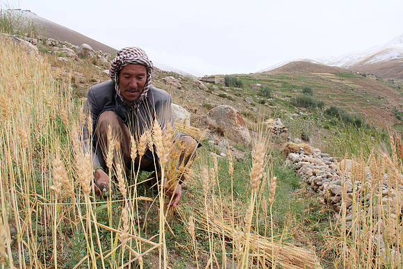 AFG2012074905