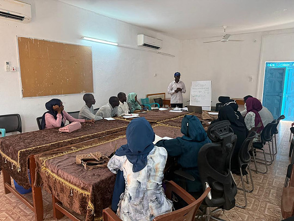 Sudan - thabat project - refresh training for SMOH staff of Kerenik and Genina Mobile team