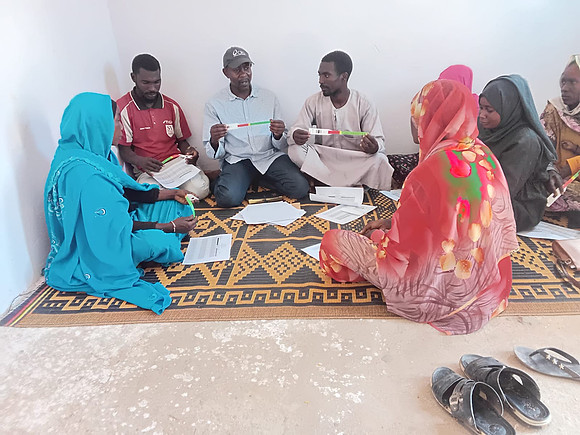 Sudan - thabat project - oriention session to CEWs in Karak HFs.